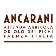Cantina Ancarani